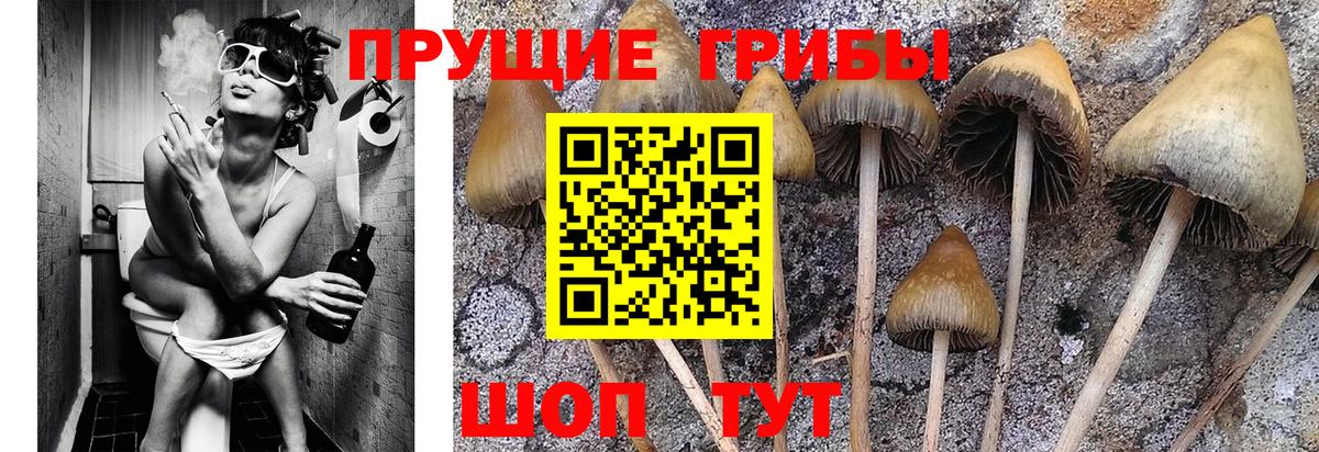 Кызыл  Галлюциногенные грибы ЛСД  Псилоцибиновые грибы мухоморы  Вход с VPN 